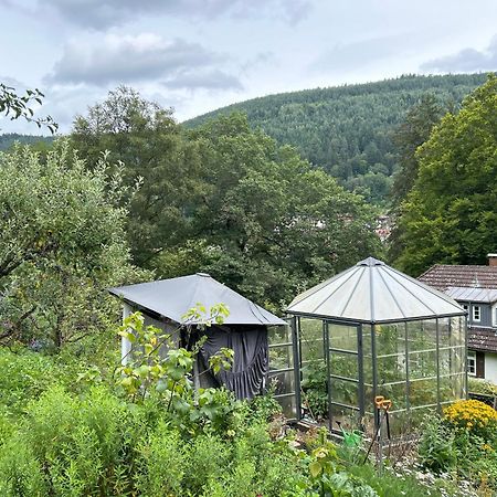 Wohn-Eitel Romantik Bad Wildbad Eksteriør billede