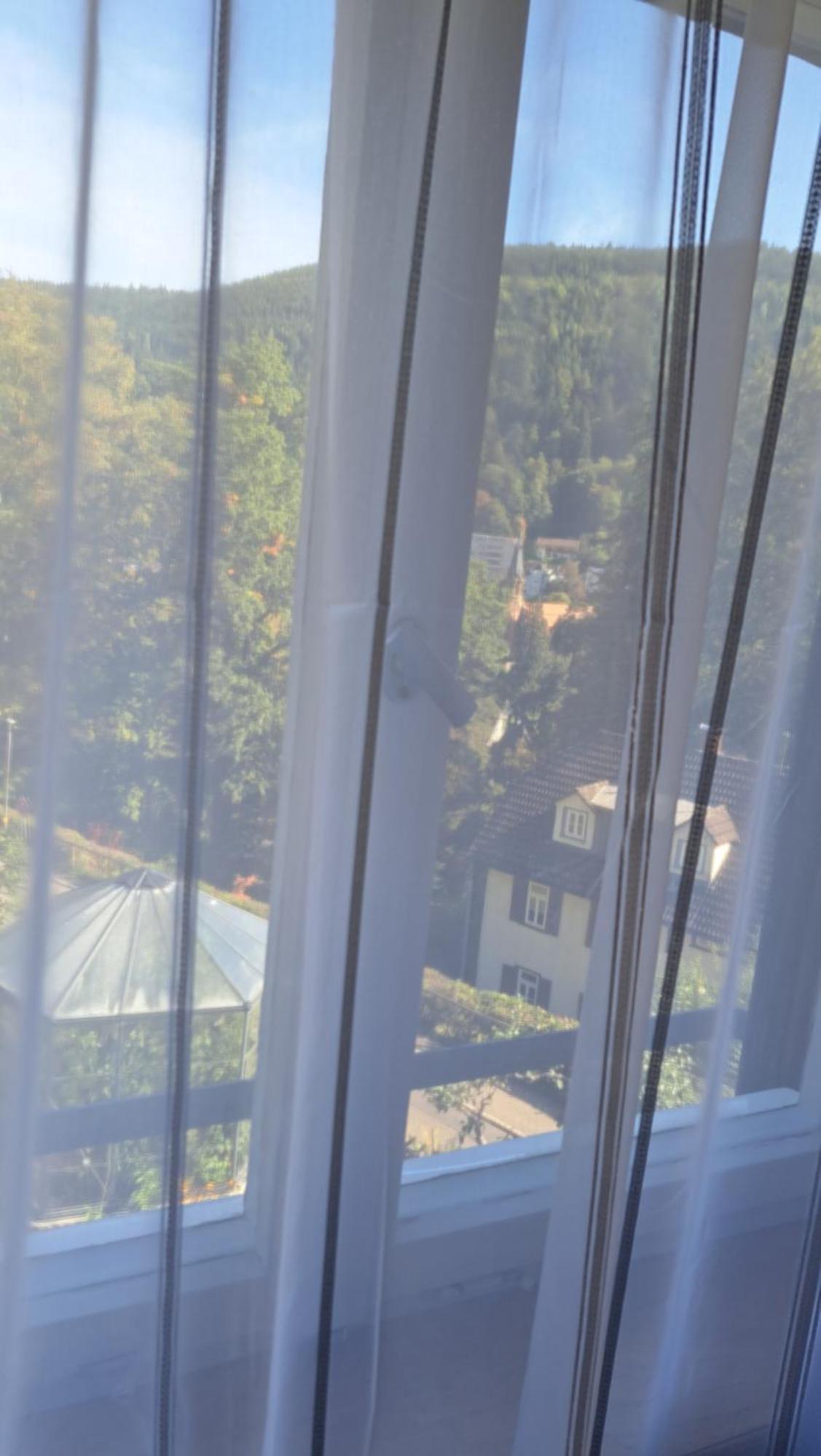 Wohn-Eitel Romantik Bad Wildbad Eksteriør billede