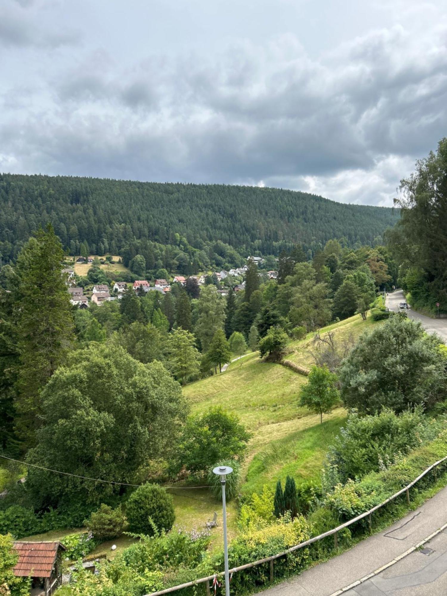 Wohn-Eitel Romantik Bad Wildbad Eksteriør billede