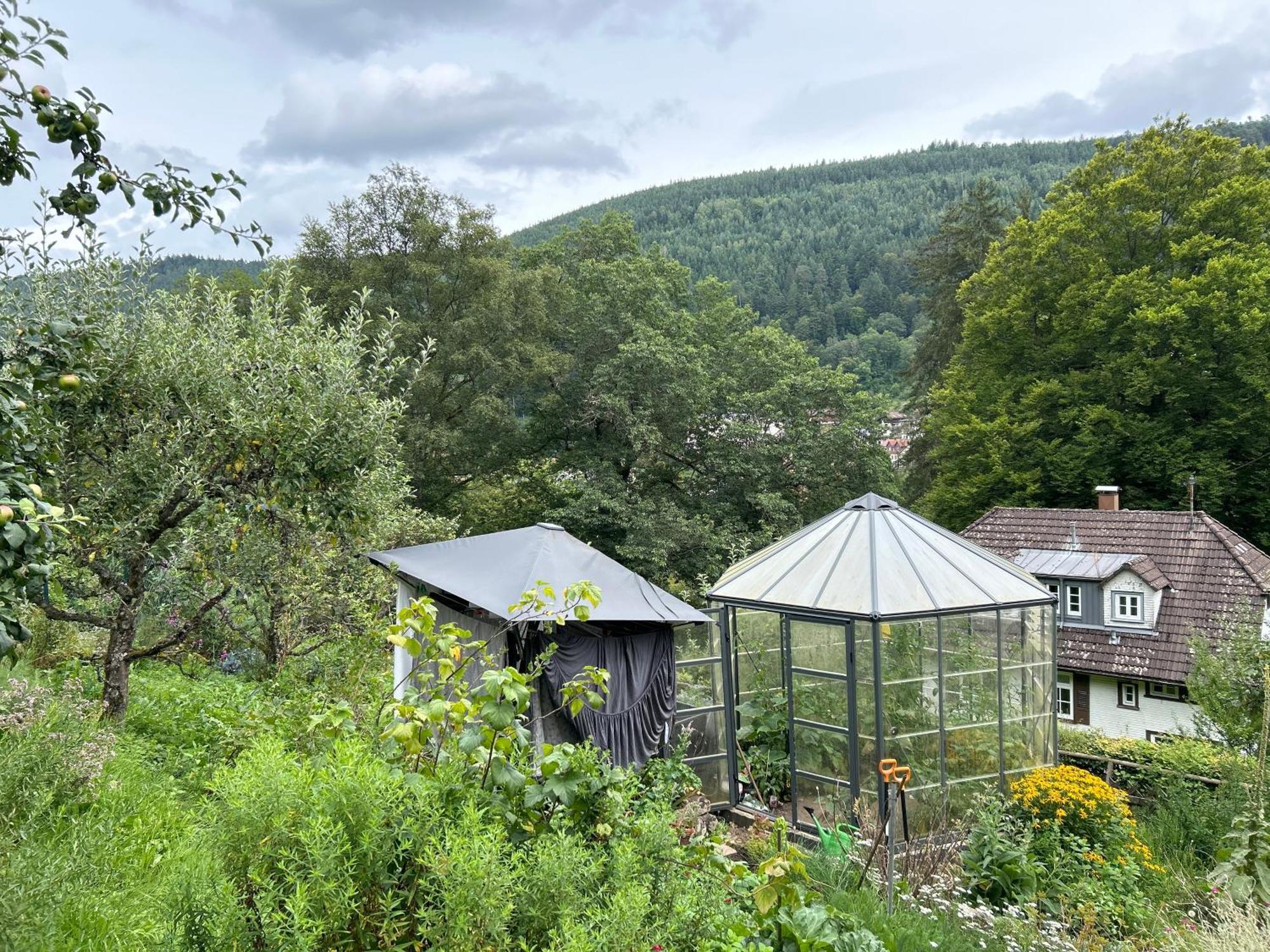Wohn-Eitel Romantik Bad Wildbad Eksteriør billede
