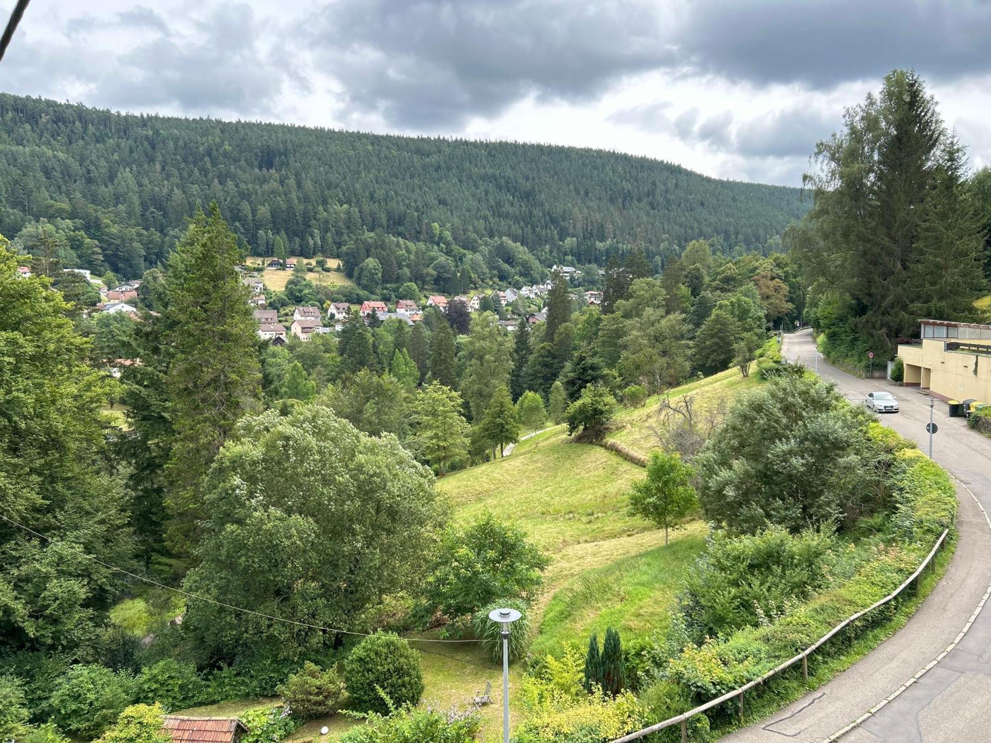 Wohn-Eitel Romantik Bad Wildbad Eksteriør billede